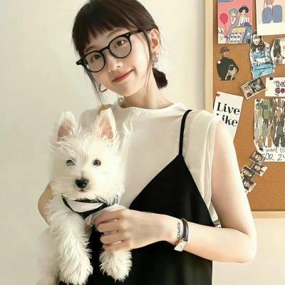 条子阿不拉